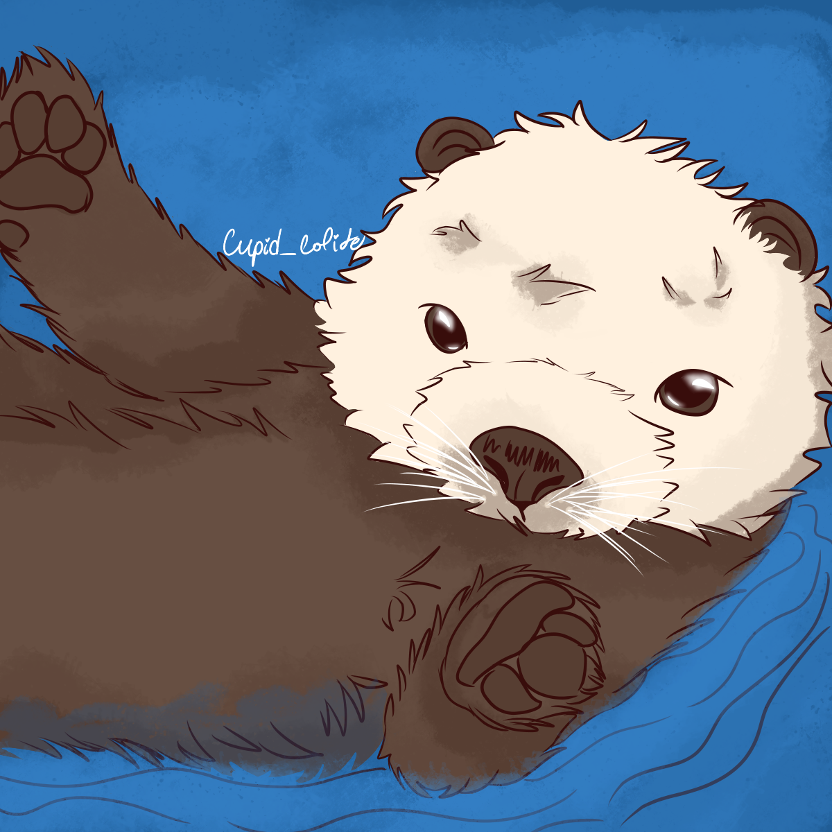 OTTER WEEKLY - 7/24/26